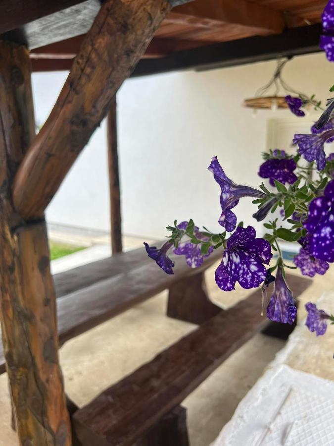 Apartman Djak Plitvička Jezera المظهر الخارجي الصورة