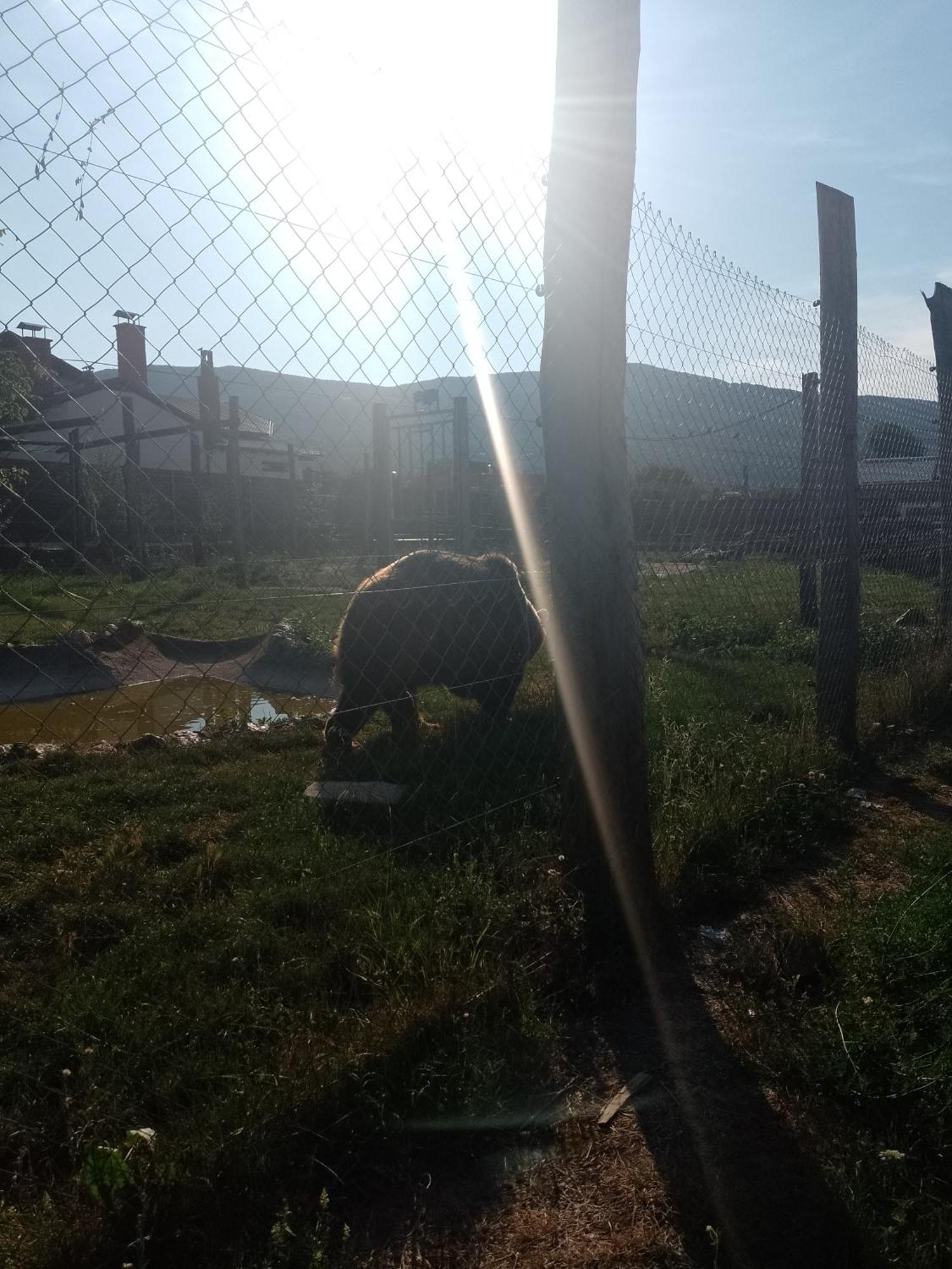 Apartman Djak Plitvička Jezera المظهر الخارجي الصورة